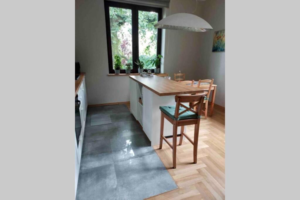 Hidden Gem Garden Apartment Krakow Bagian luar foto