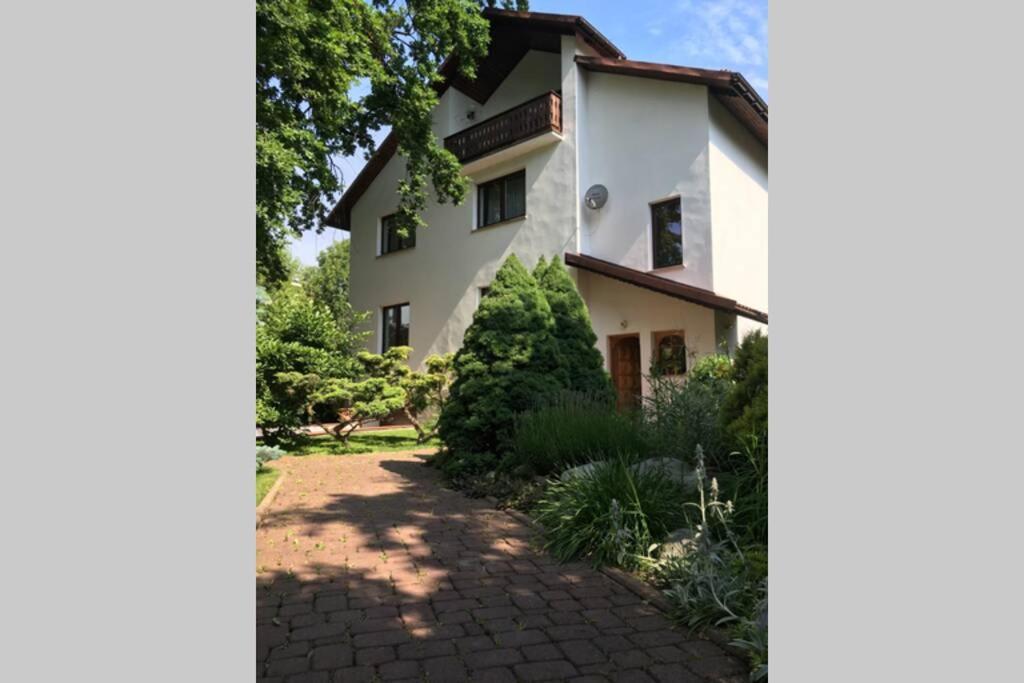 Hidden Gem Garden Apartment Krakow Bagian luar foto